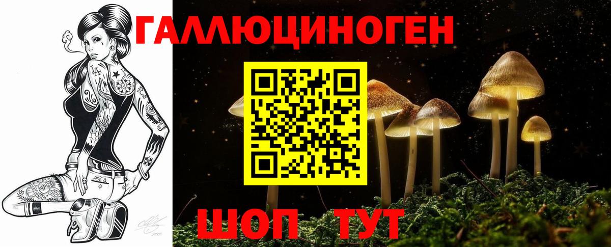 Псилоцибиновые грибы прущие грибы  Вход с VPN  Торжок 